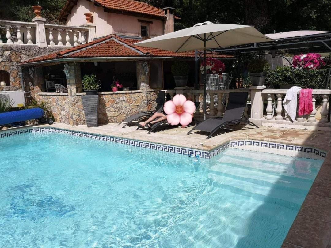 Appartement Design Avec Piscine Digne-les-Bains Eksteriør bilde
